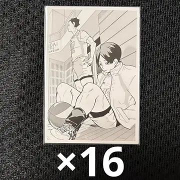 하이큐 크로니클 추억 스냅 포토 카드 구니미 & 카네다 이치 16장 세트