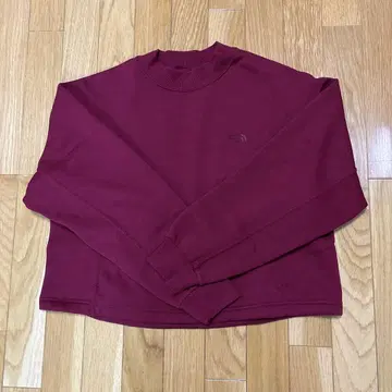 TH E NORTH FACE 트레이닝복 비트 루트
