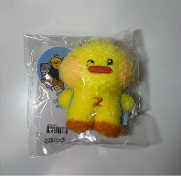 테니니 제로니 제베원 제로니 김태래 메시지