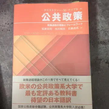 공공 정책, 정책 과정의 이론과 프레임워크