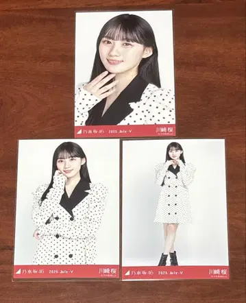 노기자카46 가와사키 사쿠라 도트 브로마이드 컴프