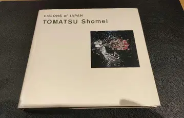 VISIONS of JAPAN  히가시마츠 조명