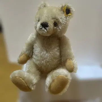 베이지 테디베어 택 포함
