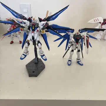 RG 프리덤 건담 & 스트라이크 프리덤 건담  기본 조립