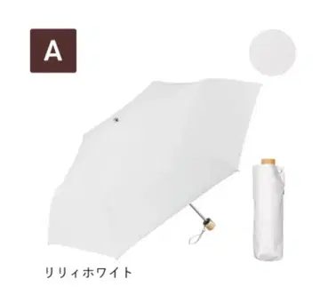 3단 접이식 우산 COKAGE+나무 손잡이 50cm 릴리 화이트