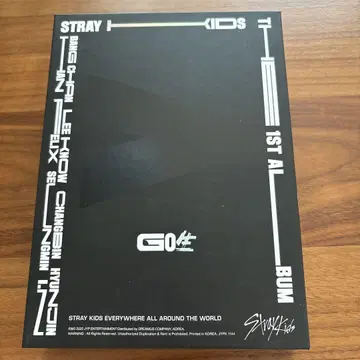 STRAY KIDS GO 생 한정판