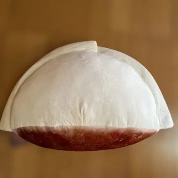 오사카 오쇼 교자 모양 울트라 BIG 봉제 인형