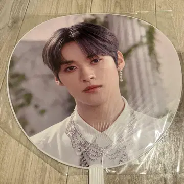 straykids 리노 부채