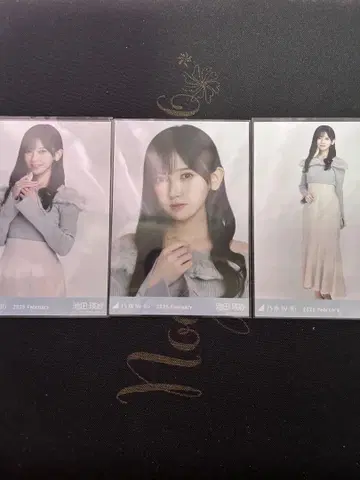 이케다 에이사 오프숄더 니트 컴프