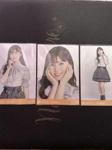 오가와 아야 빅 보타이 블라우스 브로마이드 컴프