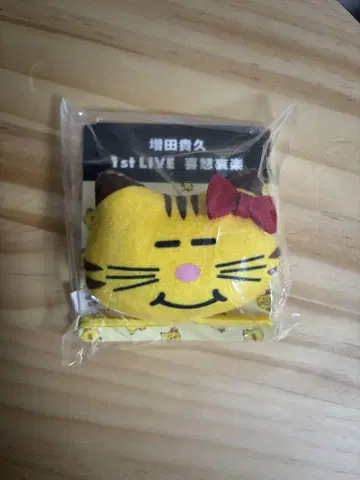 고양이 머리끈