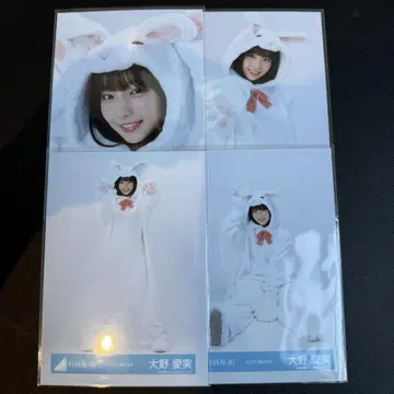 동물 인형옷 오노 마나미 컴프