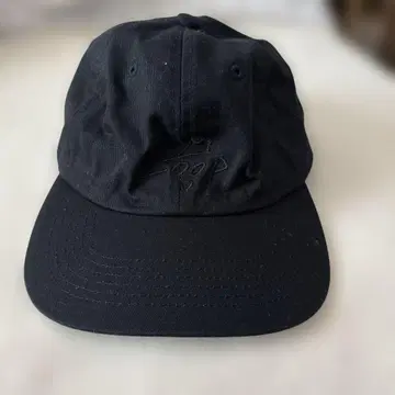 ACIDMAN 캡
