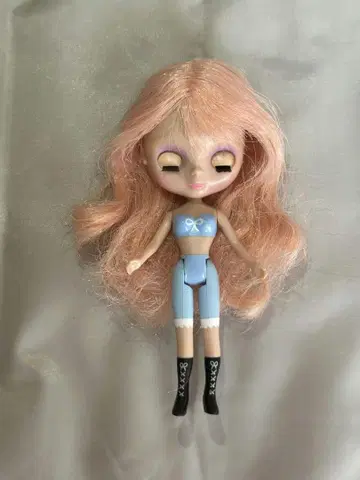 미니 브라이스 핑키 두들 푸들 본체
