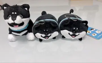 SHIBANBAN 봉제 인형 마스코트 (쿠로시반반) 3개 세트