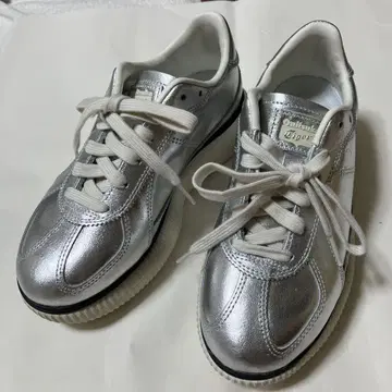 데레시티 실버 24cm