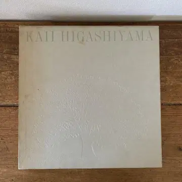 KAILI HIGASHIYAMA 히가시 야마 카이이 작품집 산하 여행기