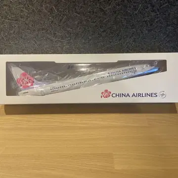 China Airlines B737-800 스카이 팀 모델