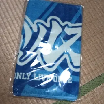 하루카미라이 로고 페이스 타월 블루