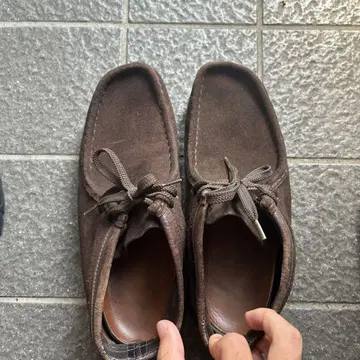 클락스 왈라비