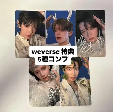 txt weverse 혜택 5종 컴프 트레이딩 카드
