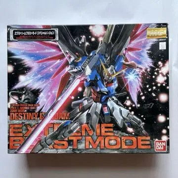 MG 1/100 데스티니 건담 익스트림 블라스트 모드