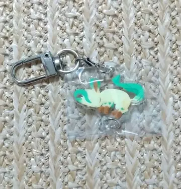 포켓몬 포켓몬 부이즈 연결 아크릴 참 시부야 리피아