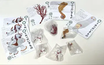 우미베노이키모노 마그넷&볼 체인 6종 세트 가챠