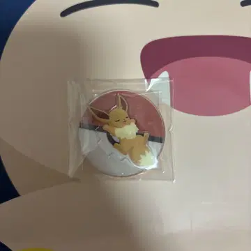 포켓몬스터 슬립 샵 잘 자요 아크릴 스탠드 이브이