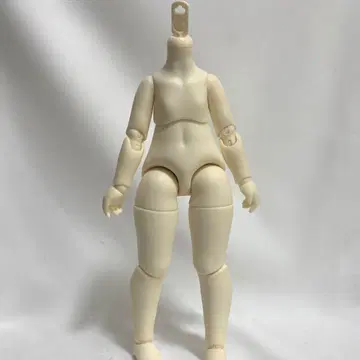 tinyfox 1/6 인형 바디만