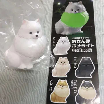 빛나는 목걸이를 한 산책 포메 라이트 가챠 화이트