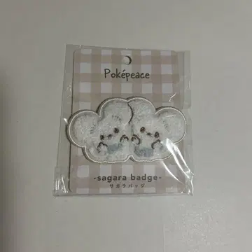 포켓몬 포켓피스 와카네즈미 사가라 배지