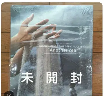 하마다 쇼고 2013 달력 미개봉
