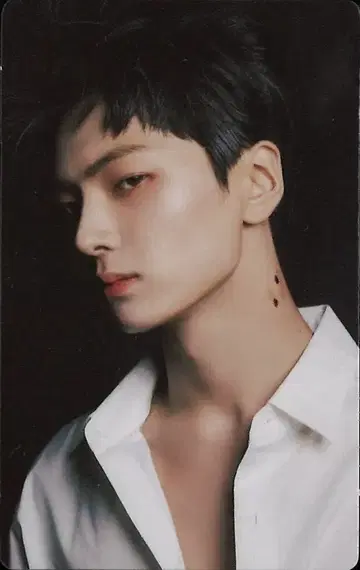 ENHYPEN JAY DARK BLOOD ENGENE 트레이딩 카드