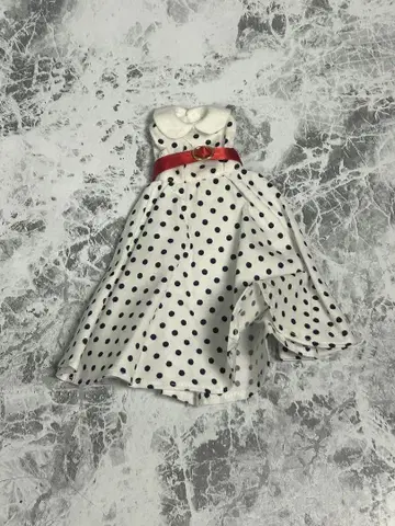 네오 브라이스 아웃핏