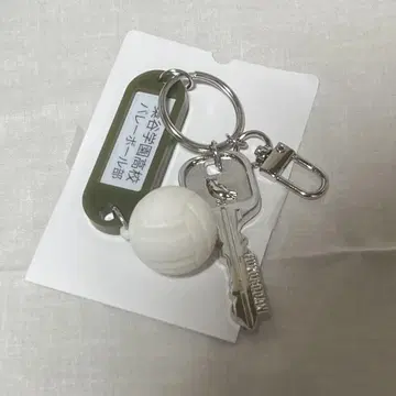하이큐 열쇠 참 키링 부엉이