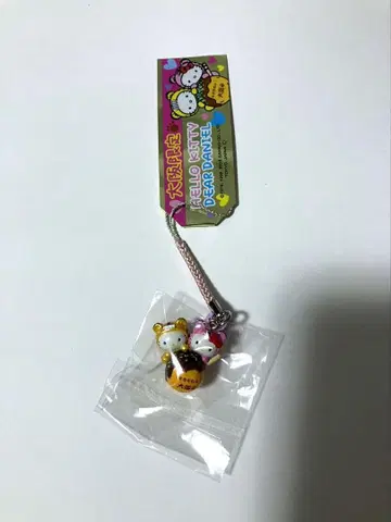 지역 키티 네즈