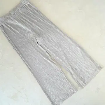 카즈미 플리츠 와이드 팬츠 허리밴딩 광택 원단 실버 계열 F 사이즈