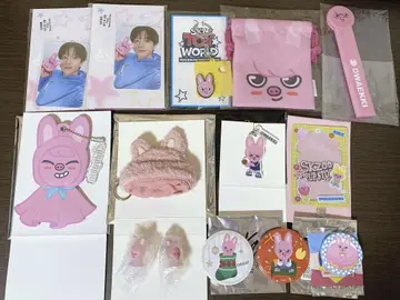 스키즈 찬빈 세트