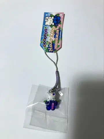 지역 키티 네즈