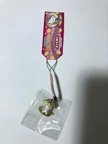 지역 키티 네즈