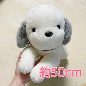 우메키치 화이트 약 50cm