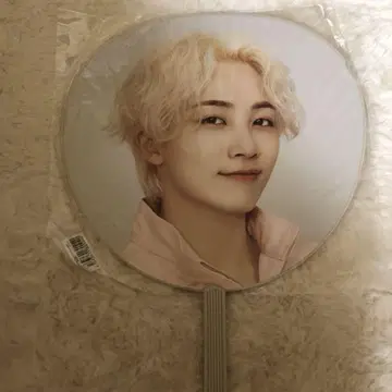 세븐틴 정한 ODETOYOU 부채