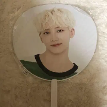 SEVENTEEN 정한 HAPPYENDING 부채