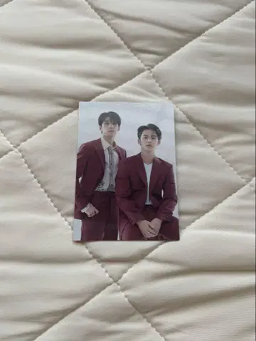 SEVENTEEN 세부치 bethesun 원우 민규 미니