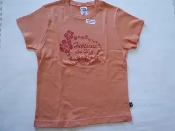 Crazy Shirt 크레이지 셔츠 티셔츠 L