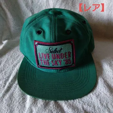 SELECT LIVE UNDER THE SKY '85 캡