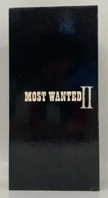 (액션 피규어) MOST WANTED2