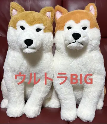 호코리 아키타견 하치베에 울트라 BIG 봉제 인형 2종 세트