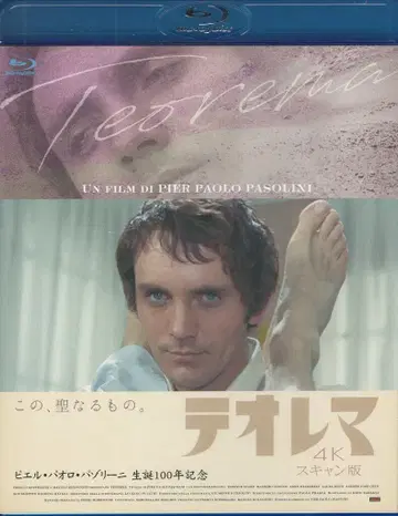 외국 영화 DVD 피에르 파올로 파졸리니 테오레마 4K 스캔판